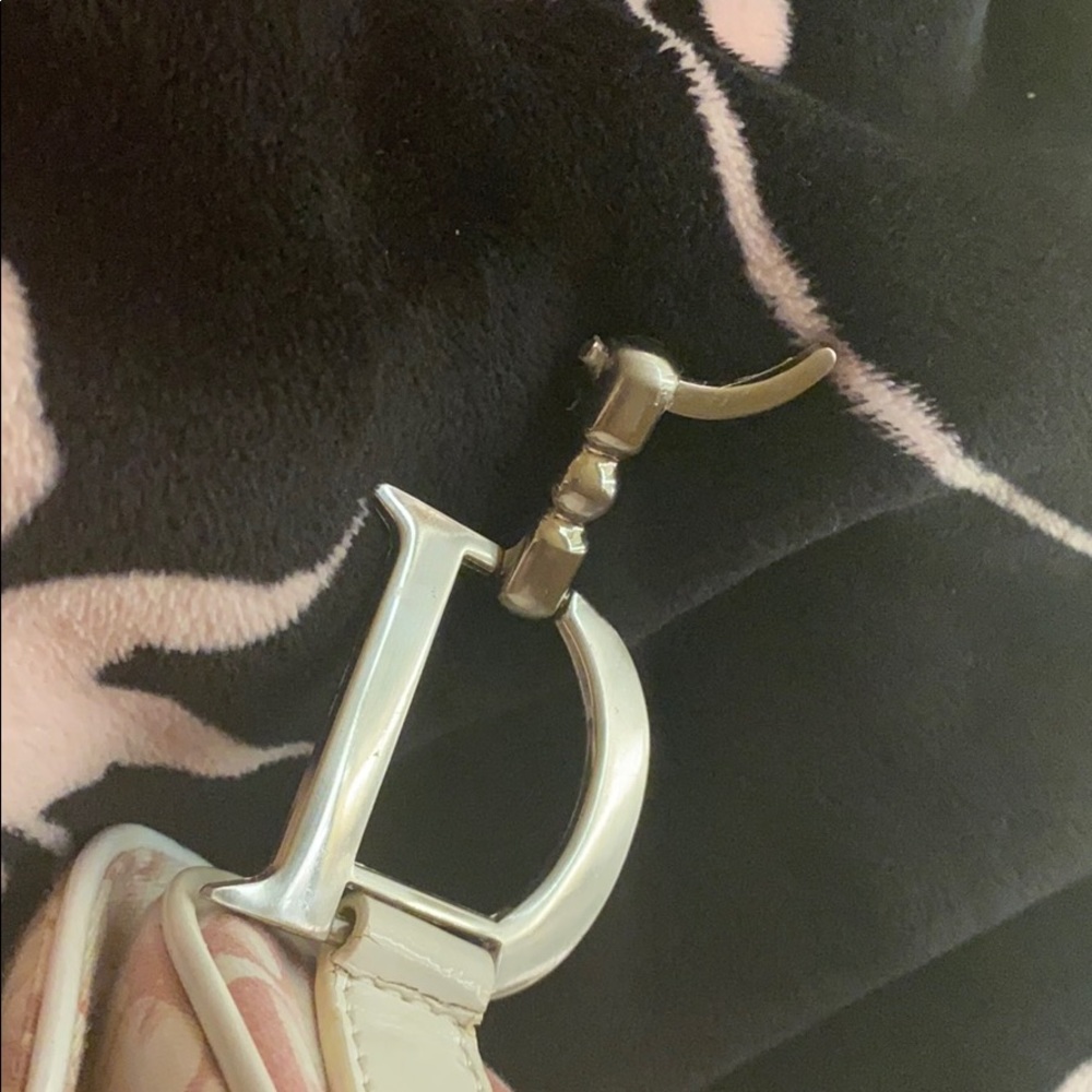 Dior saddle bag